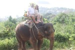elephant trek