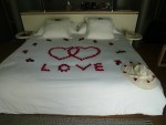 rose petal welcome to sala