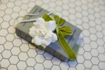 Parsons_Schmitz_Erin_Johnson_Photography_I0008_low