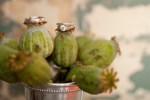 Parsons_Schmitz_Erin_Johnson_Photography_I0517_low