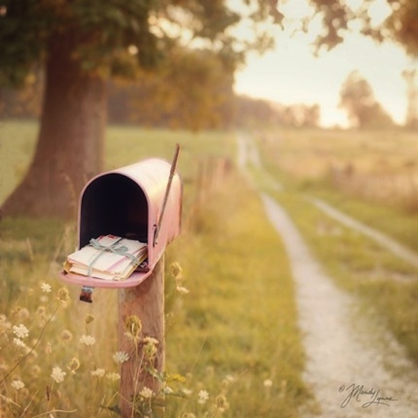 mandy lynne pink mailbox