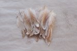 glitter feather diy