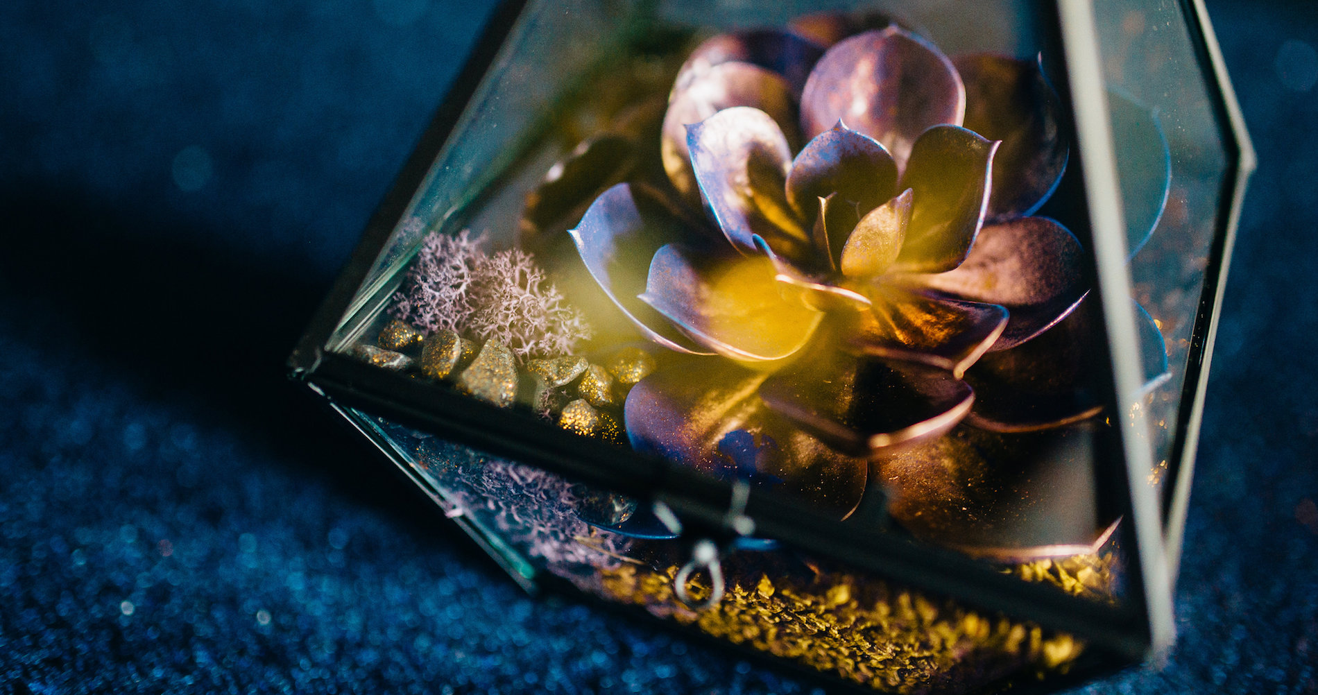 View More: http://abigailsteedphotography.pass.us/mrmrs-full-gallery