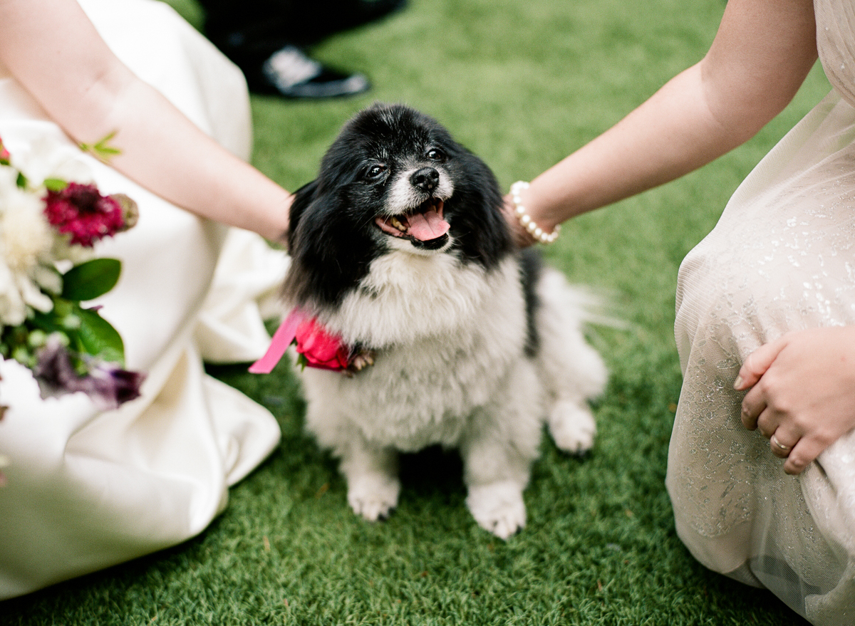 Elegant Wedding by Shelly Goodman Photography and Gather Events 5