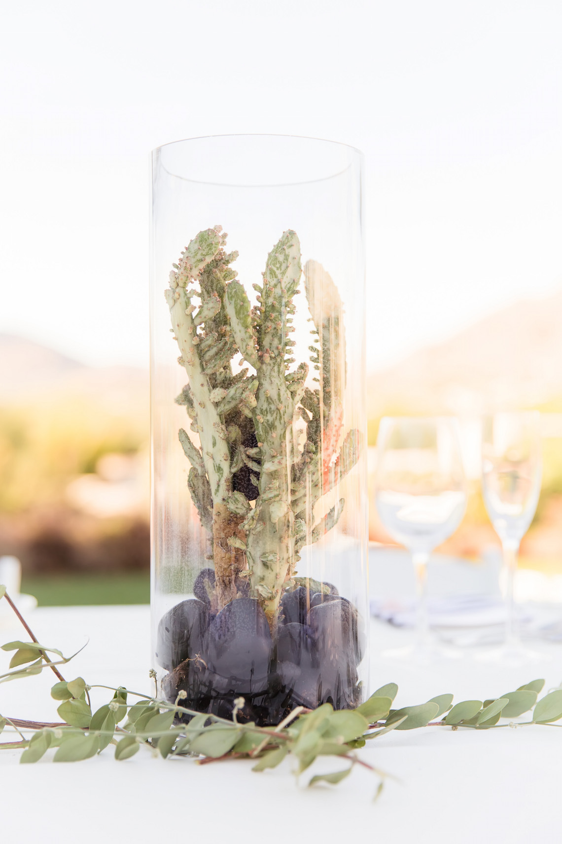 Gorgeous Desert Wedding by Malone Sinclaire Photography 25