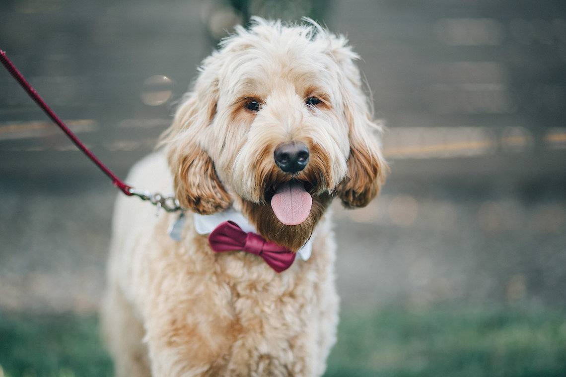 Sweet Nashville Wedding by Cassie Lopez Photography 5