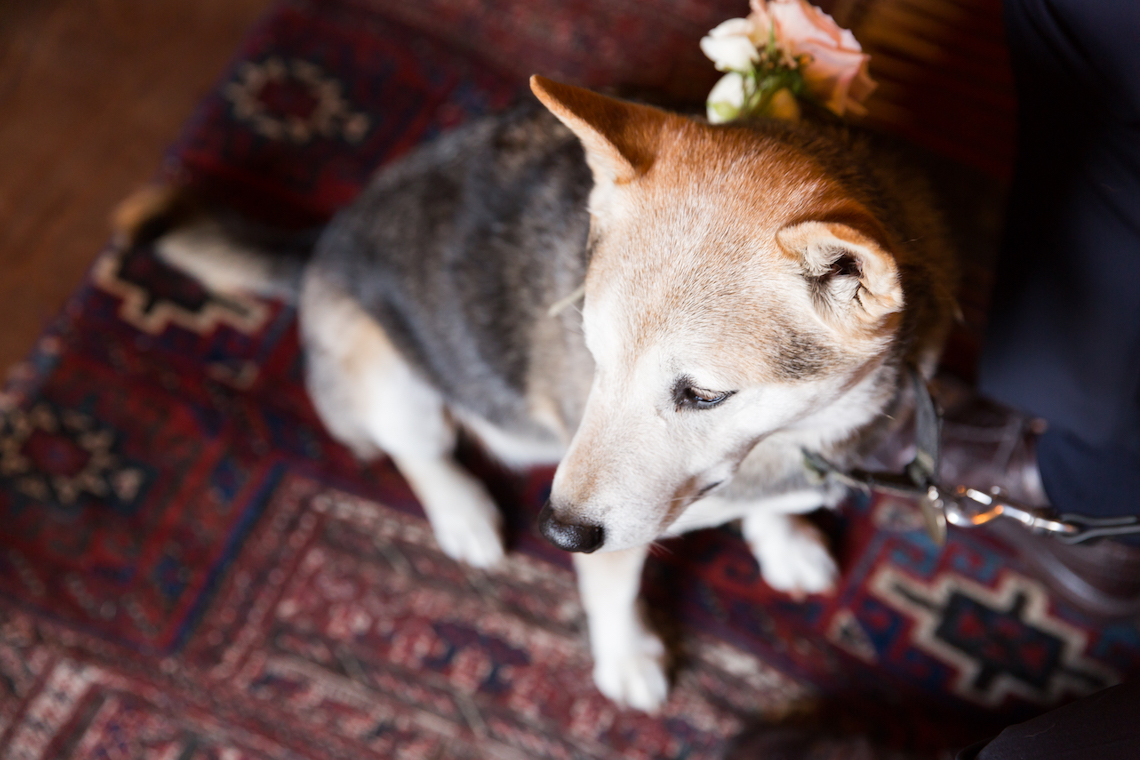 Sweet & Pretty Wedding by Gina Shoots Weddings and Sweet Emilia Jane 18