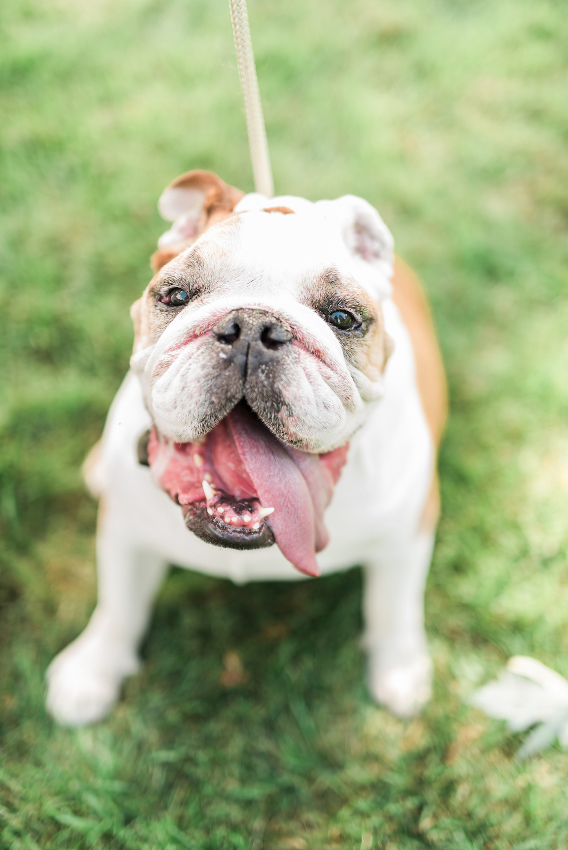 Fun Farm Wedding by Two Birds Photography 10