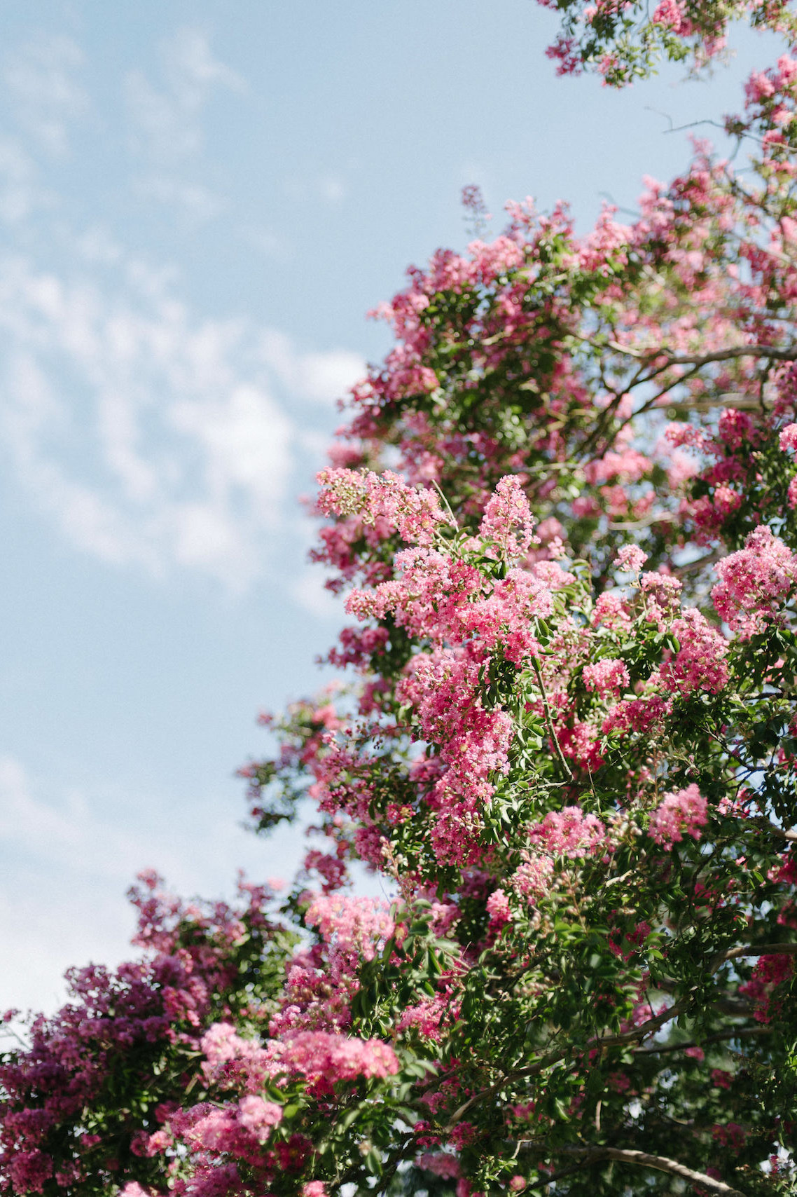 Dreamy Pink Wedding In France | Marion Heurteboust 14