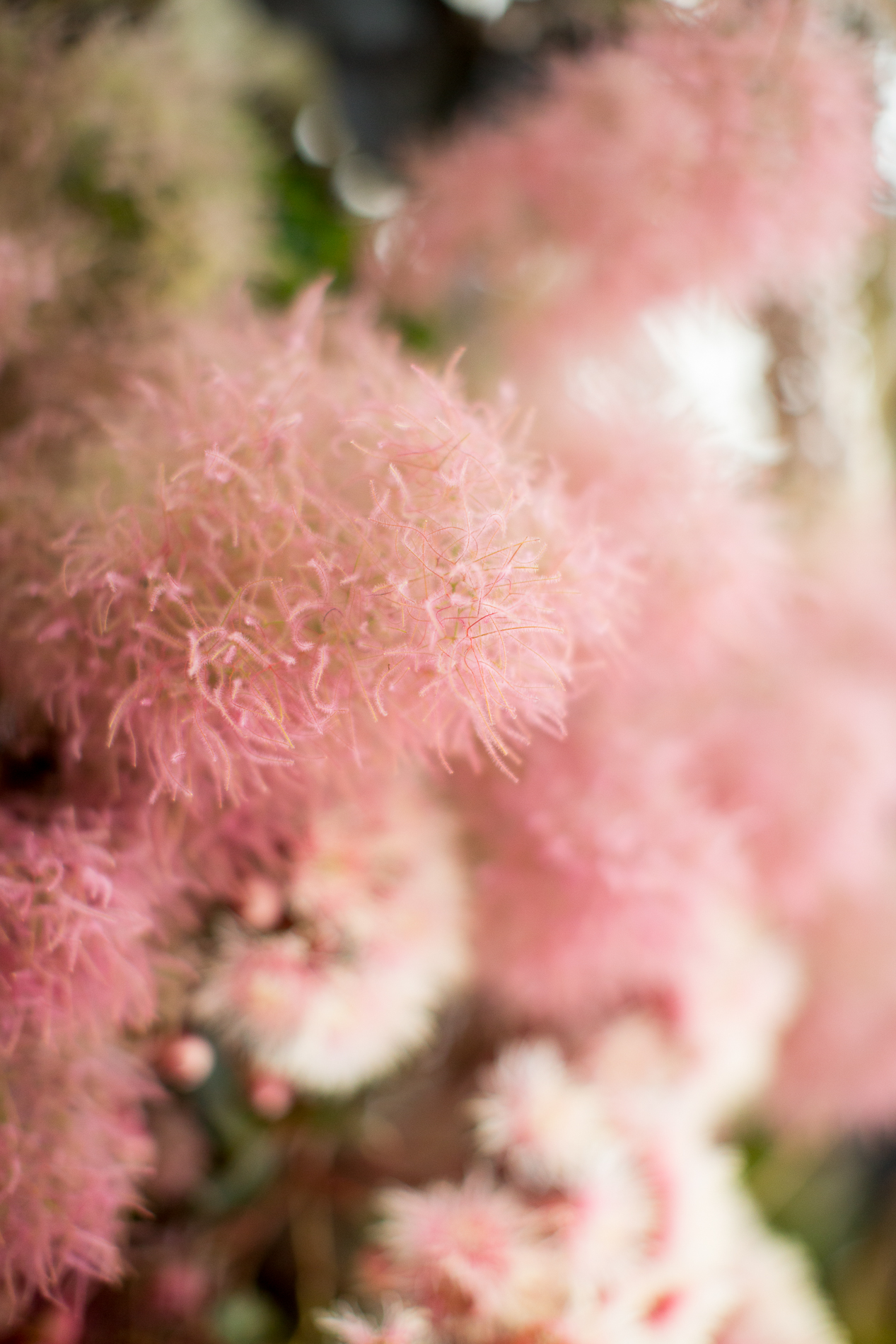 Modern Silk Gowns & Floral Wall Inspiration For The Hip Bride | Anastasia Fua elliftheartist 50