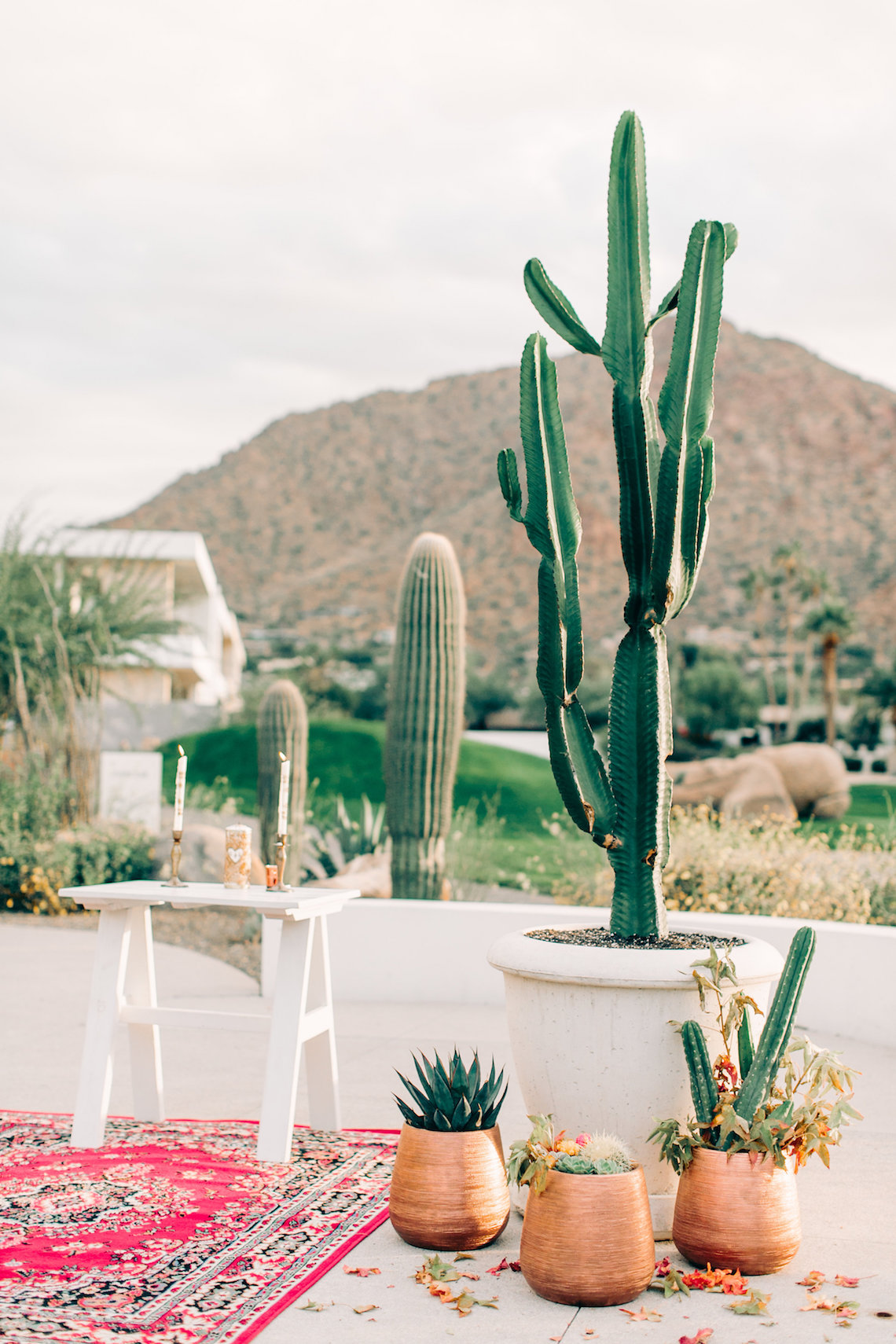Midcentury Modern Desert Wedding Made Of Boho Dreams | Vienna Glenn 16