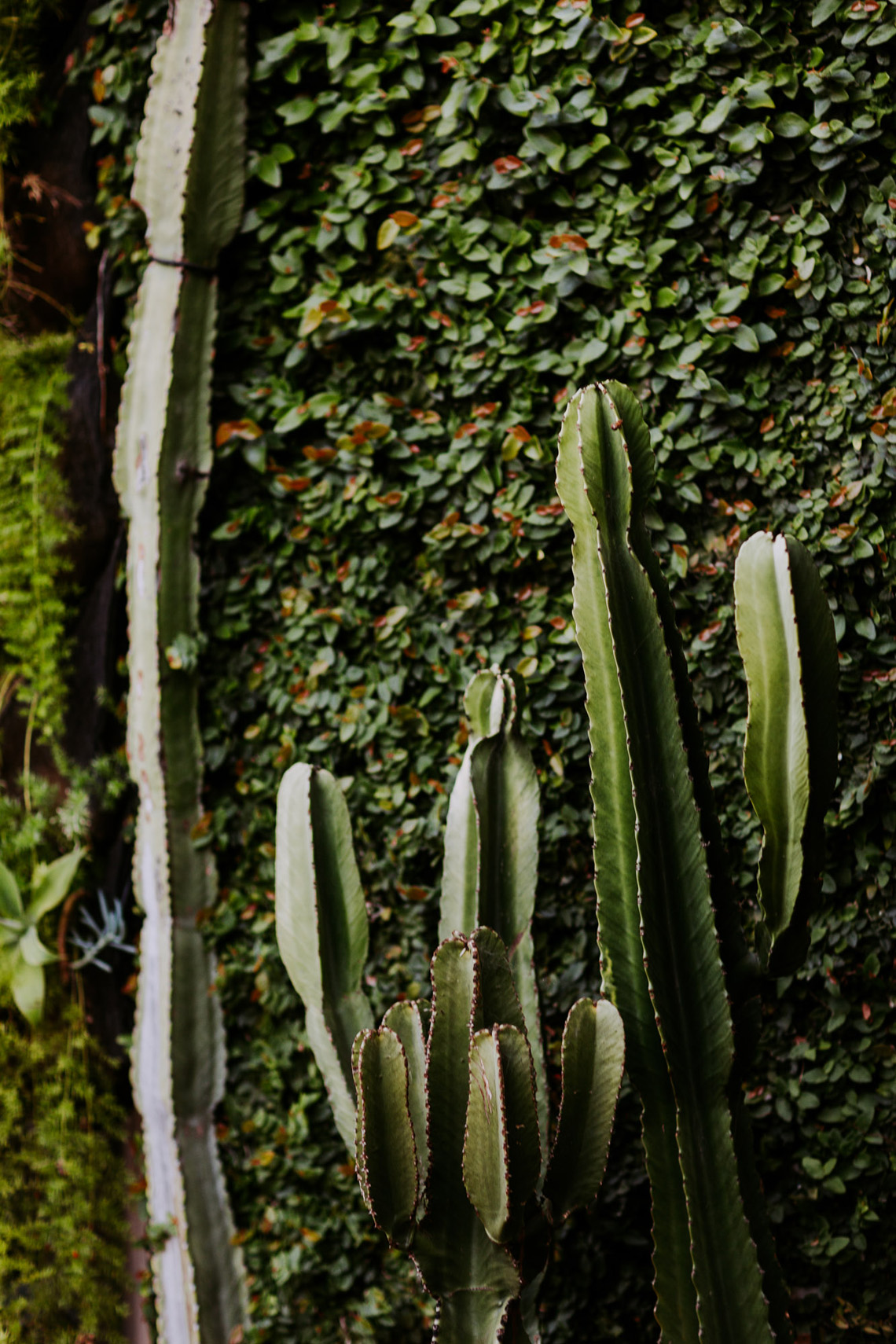 Cool Urban LA SmogShoppe Wedding | Lets Frolic Together 51