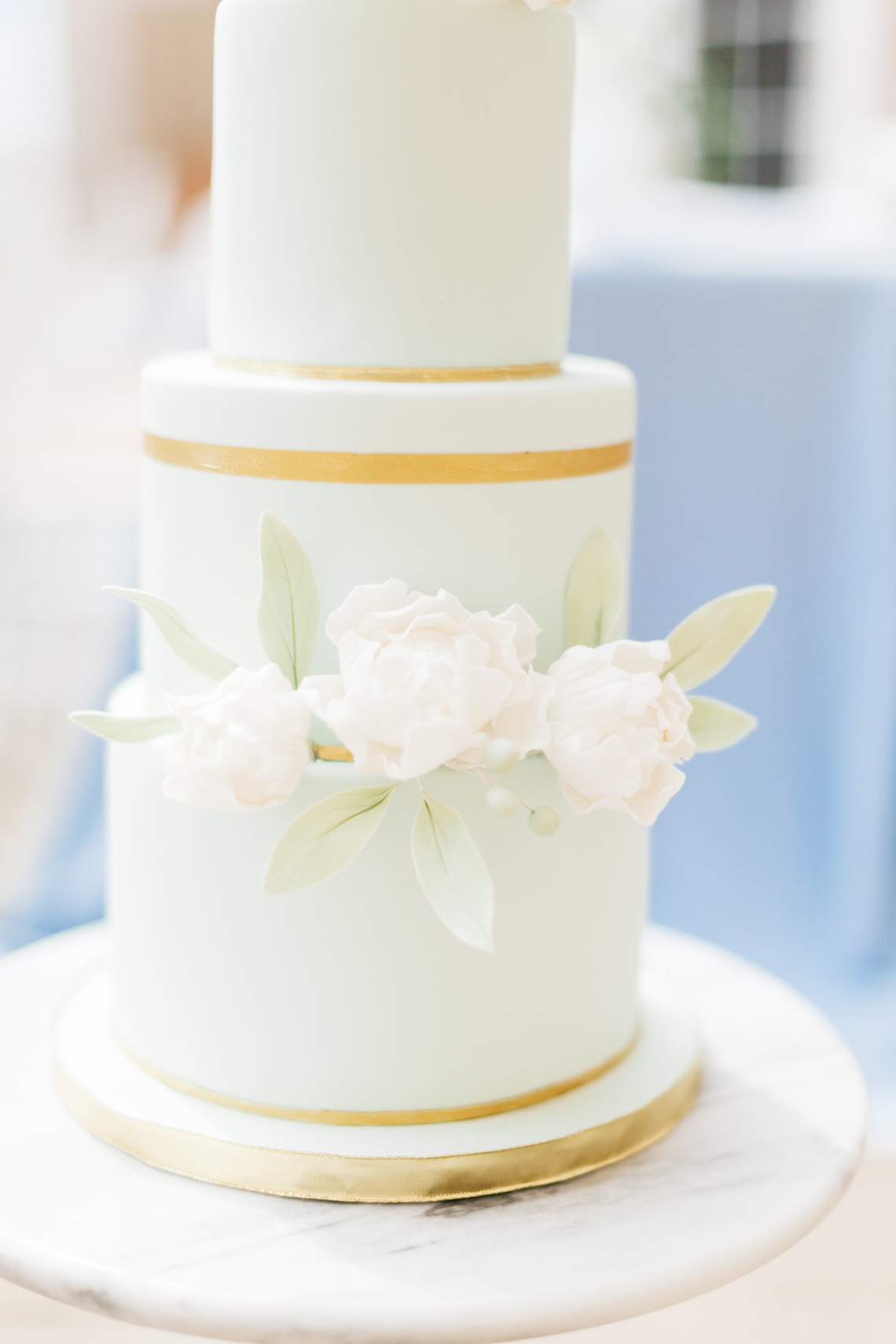 French Blue Vineyard Chateau