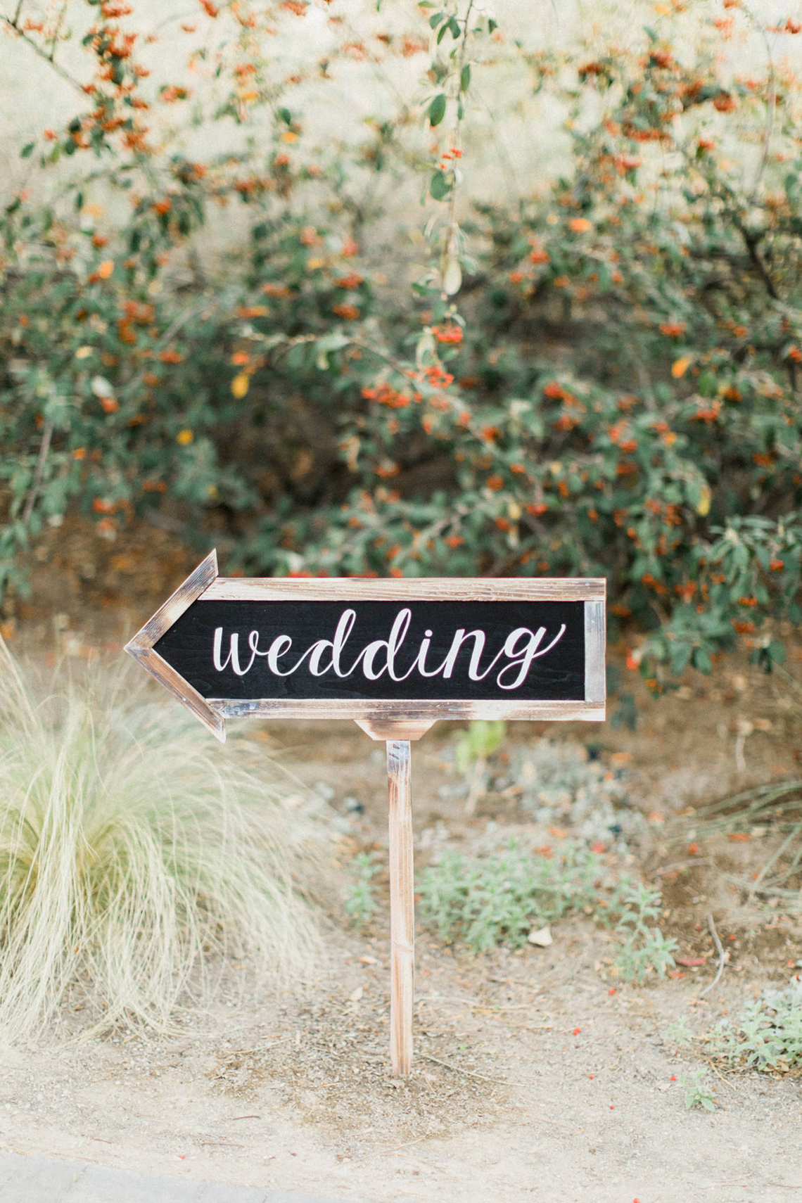 Rustic Blue Las Vegas Desert Wedding – Susie and Will 51
